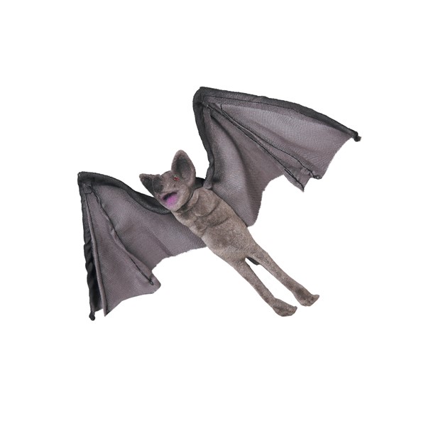 Bats