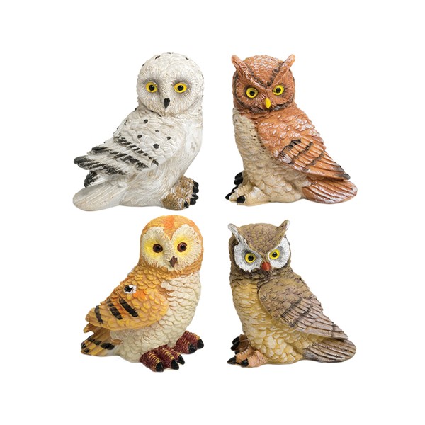 Owls