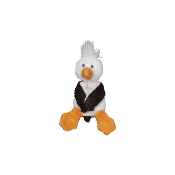 Seagulls/Pelicans