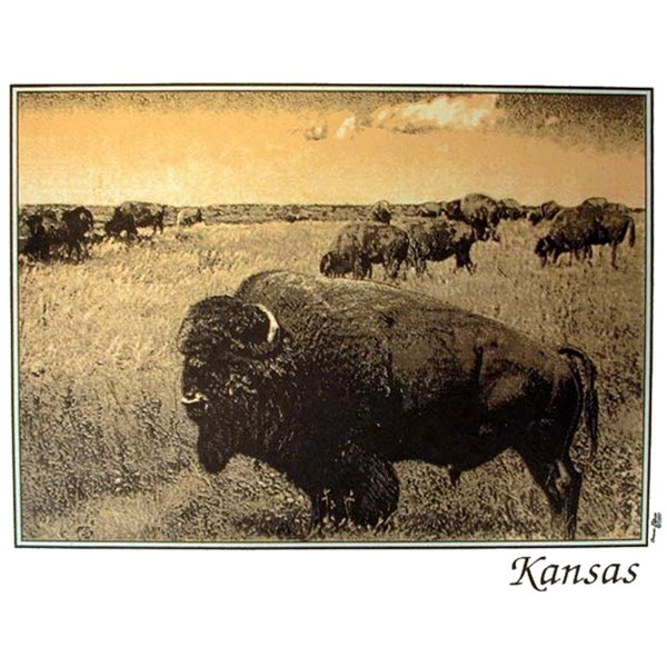 Buffalo