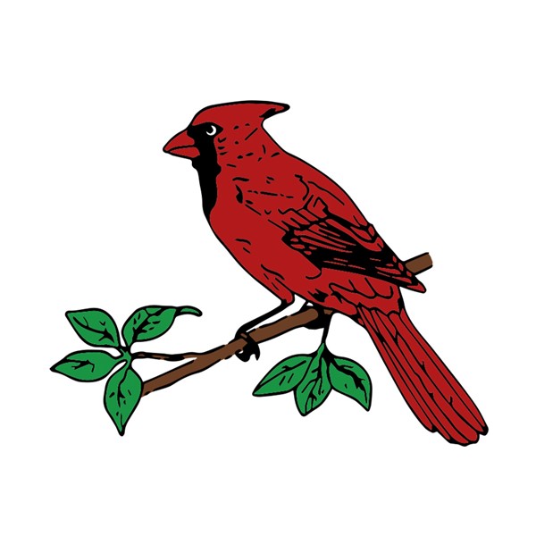 Cardinals