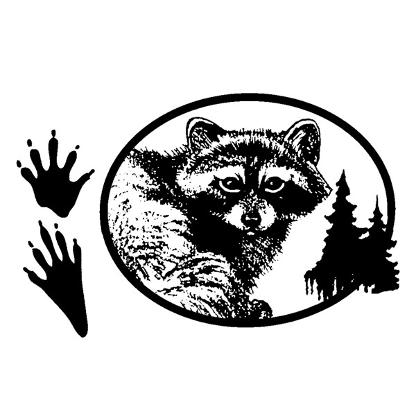 Raccoons