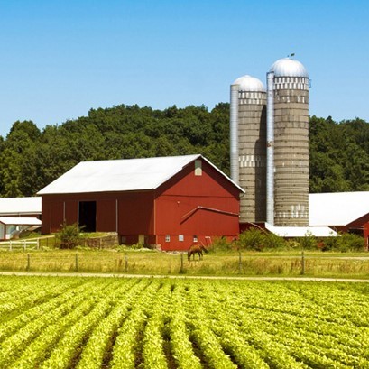 Barn