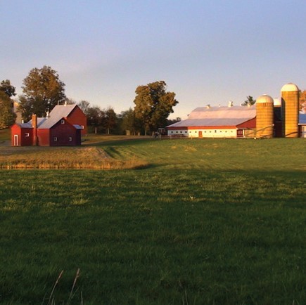 Farm